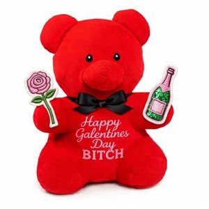 Charming Red Custom Valentine's Teddy Bear with Embroidered Message